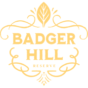 badger-hill-logo
